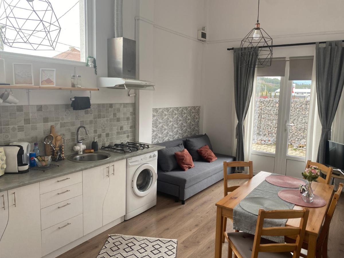 Fressh House Διαμέρισμα Sincraieni Εξωτερικό φωτογραφία